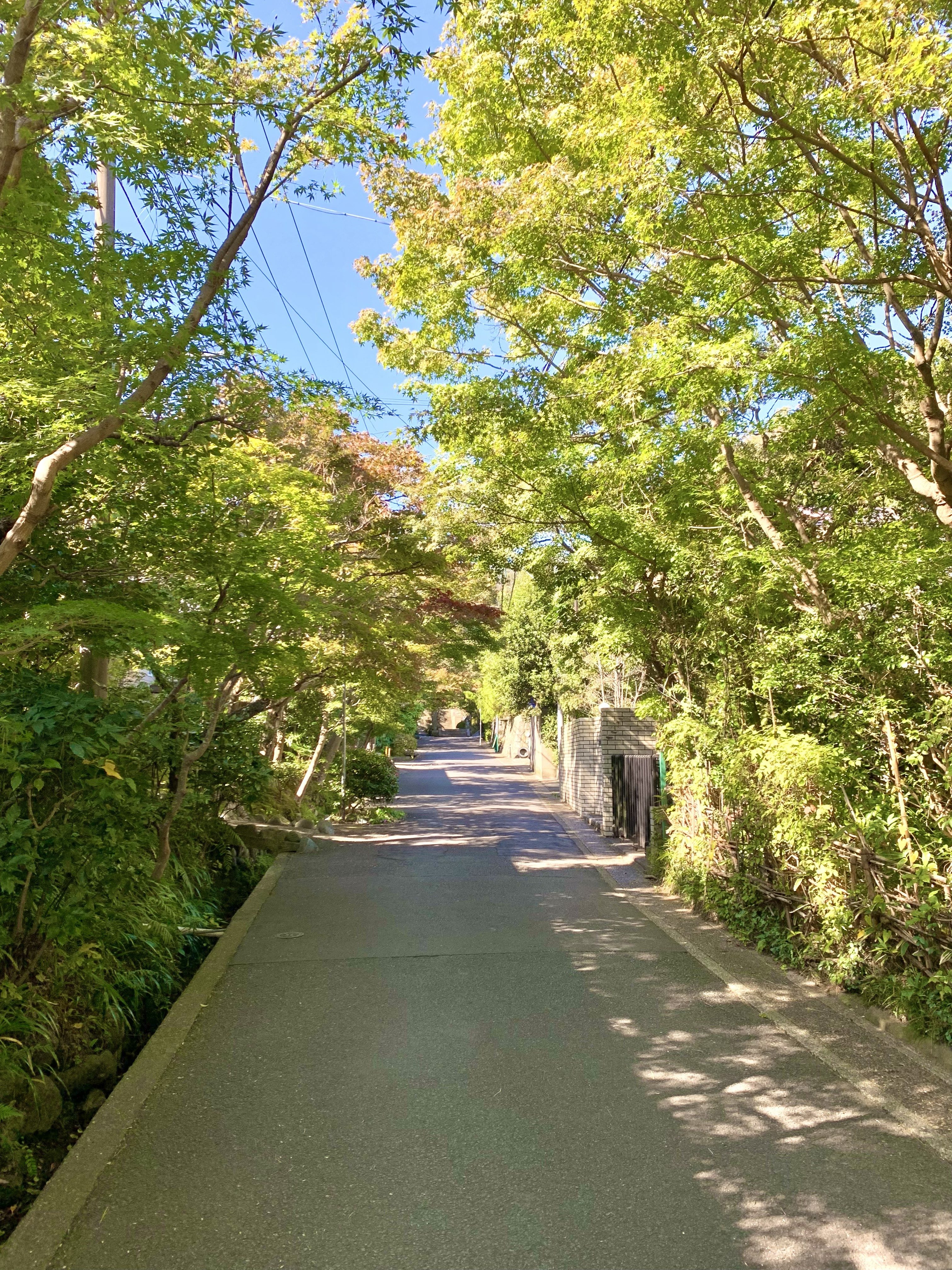 海蔵寺道.jpg