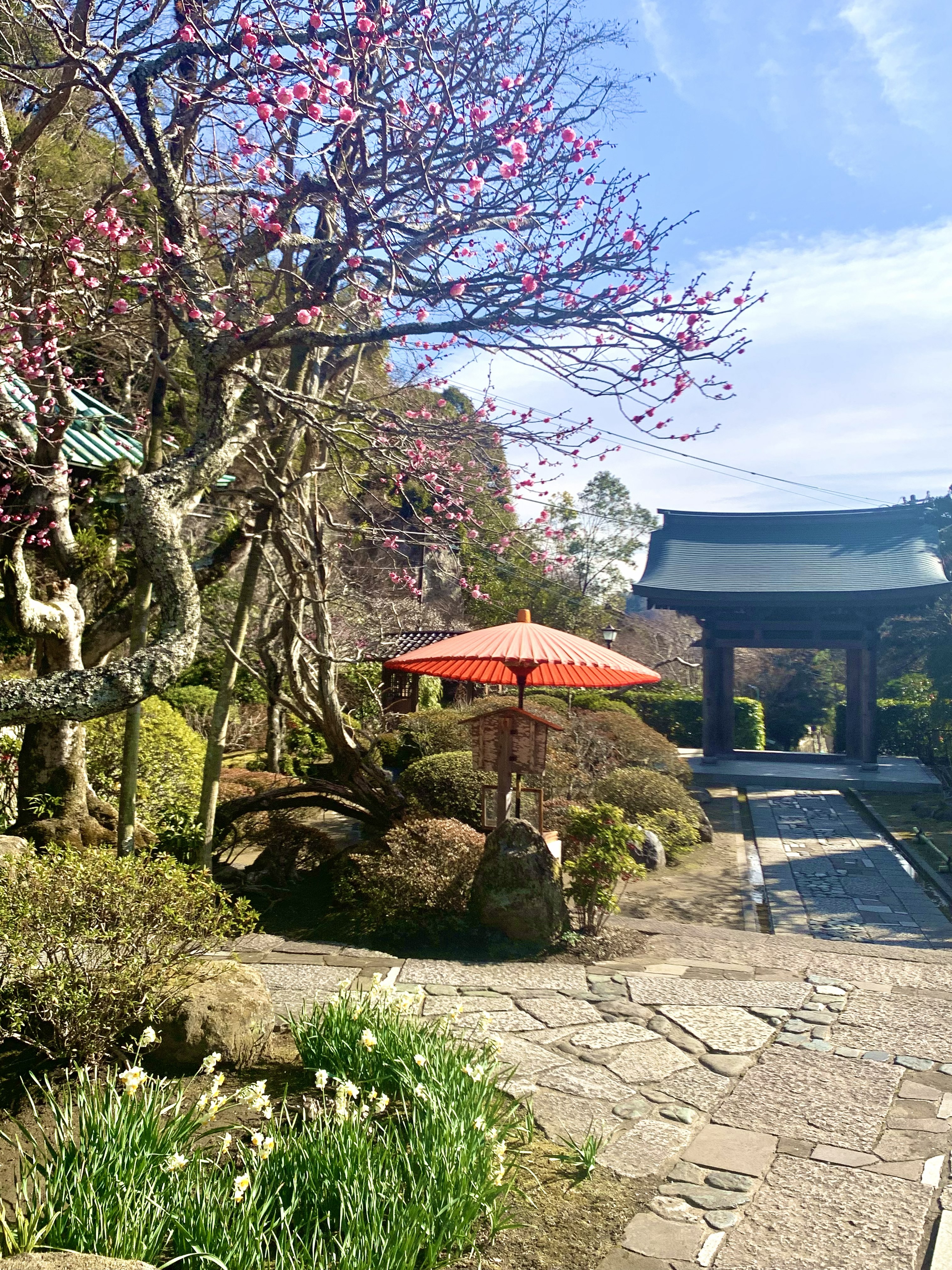 海蔵寺2.jpg