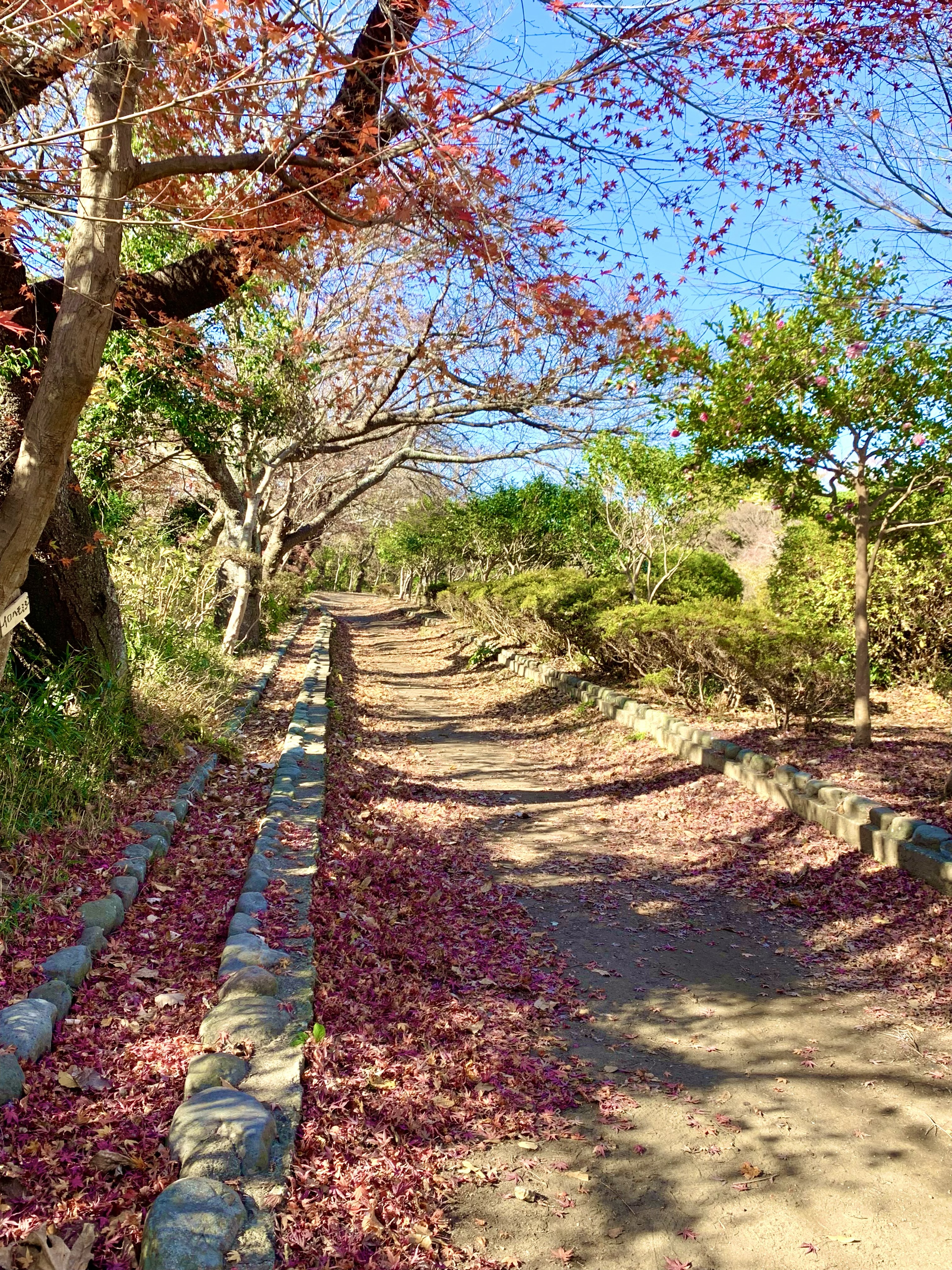 源氏山公園.jpg