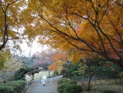 画像1.jpg
