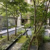 中庭の様子
