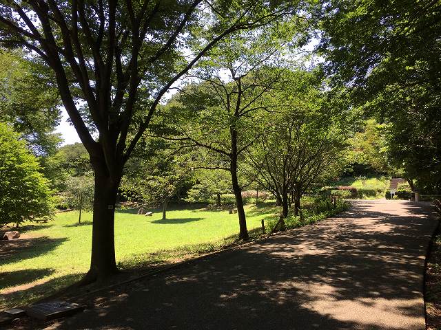 鎌倉日和のブログ　【夏の涼スポット②】