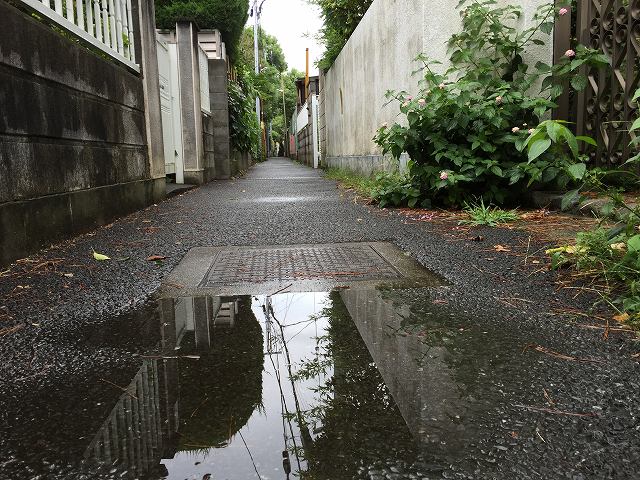 鎌倉日和のブログ　【突然の雨】