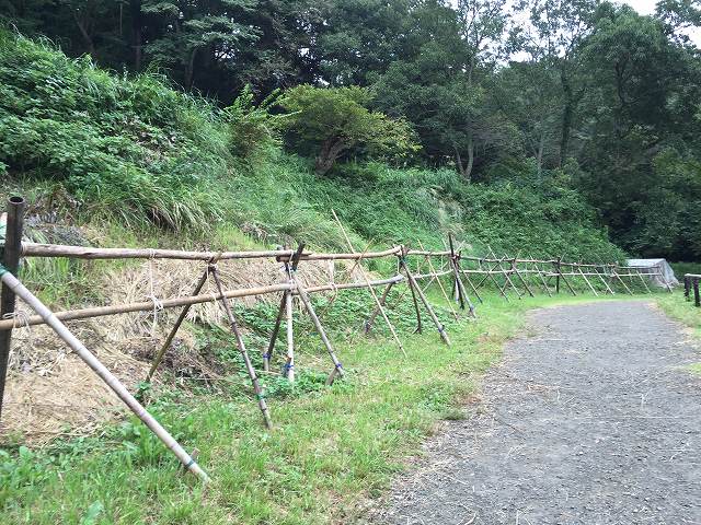 鎌倉日和のブログ 【谷戸の秋】