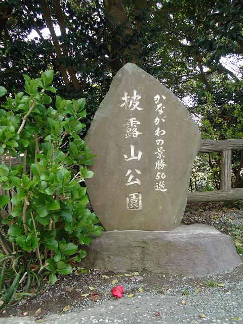 鎌倉日和のブログ 【披露山公園②】