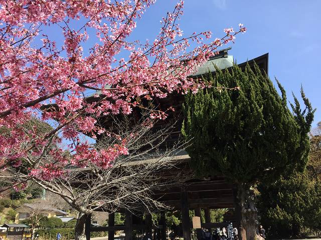 鎌倉日和のブログ【建長寺】