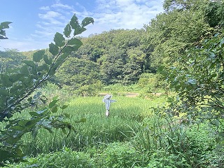 鎌倉日和【案山子】