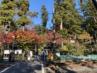 鎌倉日和【円覚寺】