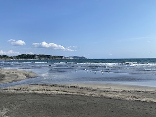 鎌倉日和【由比ガ浜の海猫】