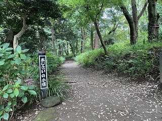鎌倉日和【源氏山公園 アジサイの小径】