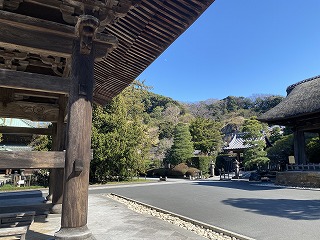 鎌倉日和【お墓掃除】