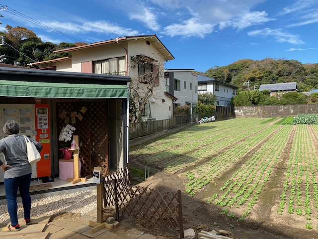 鎌倉日和【佐助マルシェ】