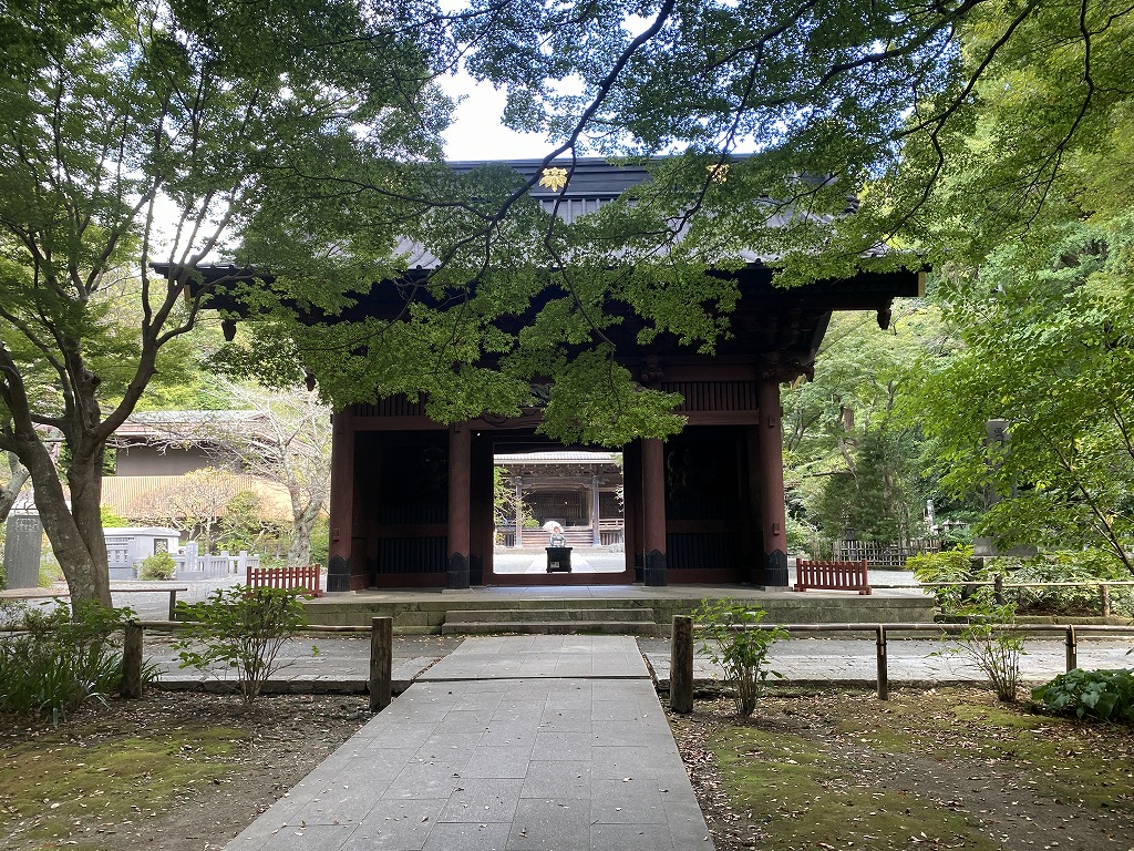 鎌倉日和【妙本寺】