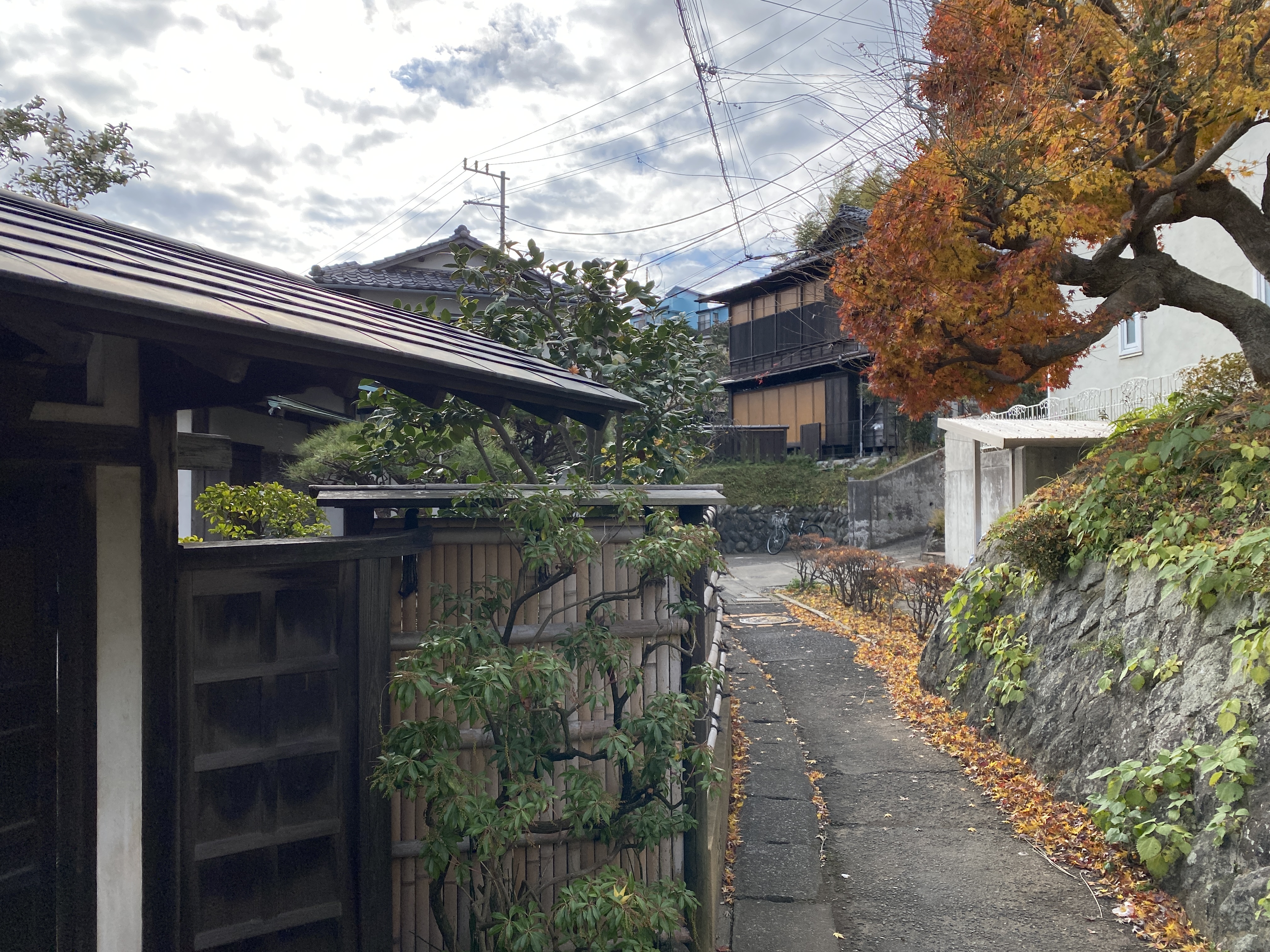 鎌倉日和【北鎌倉の裏路地＿幻董庵】
