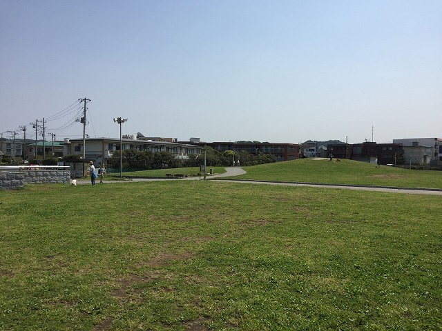 鎌倉日和のブログ　【鎌倉海浜公園】