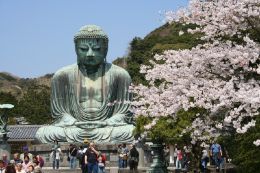 鎌倉日和のブログ　【長谷駅近くの松】