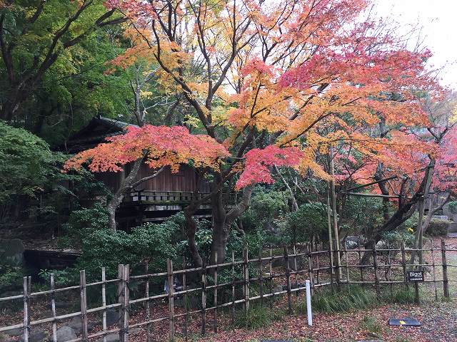 鎌倉日和のブログ 【北鎌倉の隠れ家・・】