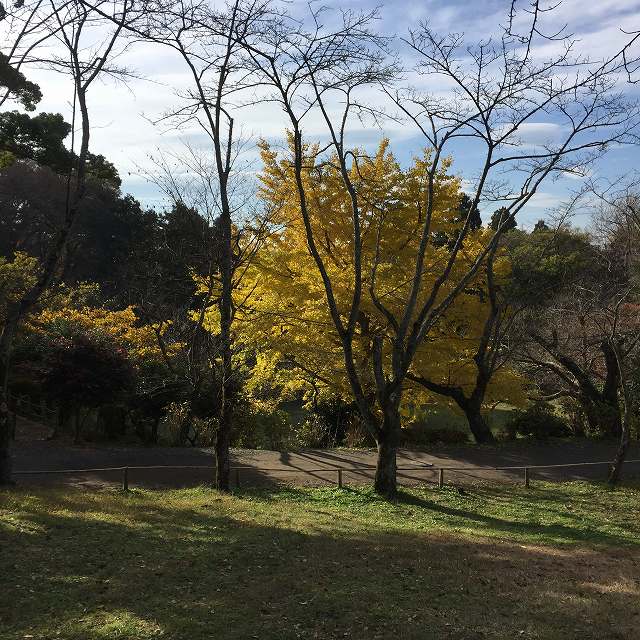 鎌倉日和のブログ 【葛原岡神社】