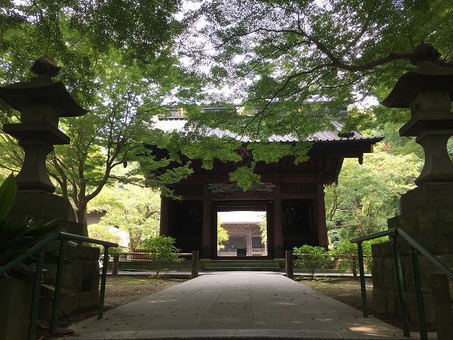 鎌倉日和【妙本寺】