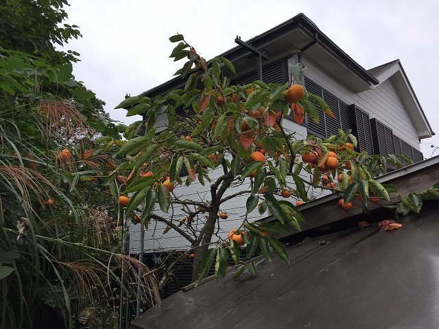 鎌倉日和【北鎌倉の売り戸建】