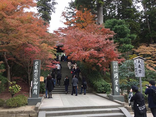 鎌倉日和【円覚寺】