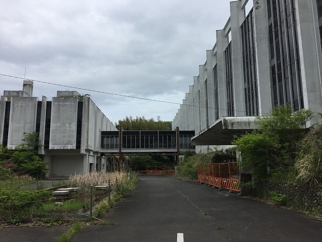 鎌倉日和【常盤～梶原（野村総研跡地）のハイキングコース】