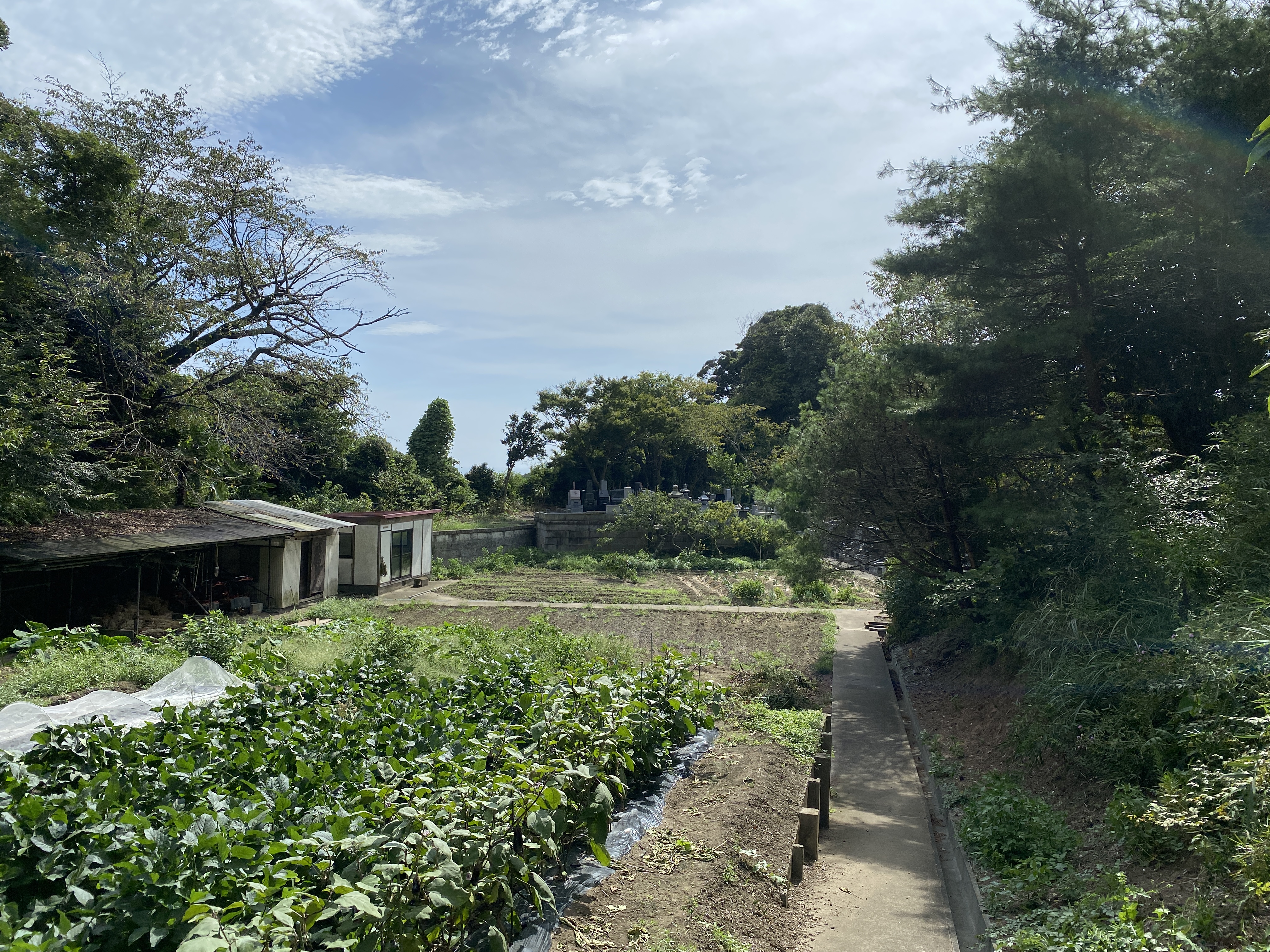 鎌倉日和【お彼岸】