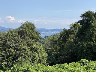 鎌倉日和【鎌倉山→稲村ガ崎ハイキングコース】