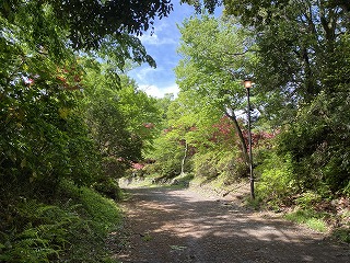 鎌倉日和【春の嵐】