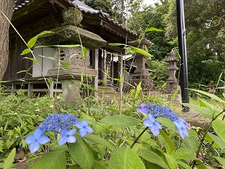 鎌倉日和【稲荷山神社】