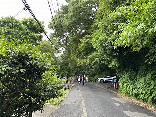 鎌倉日和【明月院通り】