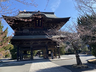 鎌倉日和【建長寺 さざれ石】