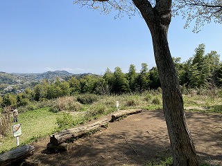 鎌倉日和【台峯ハイキングコース】