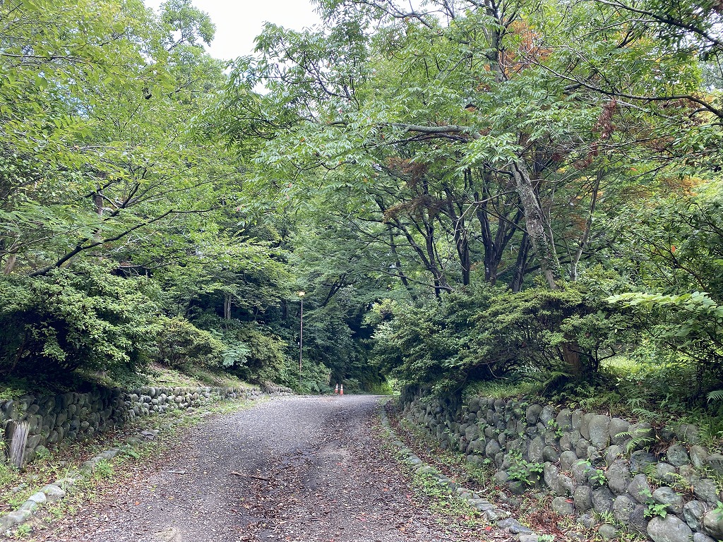 鎌倉日和【台風７号】