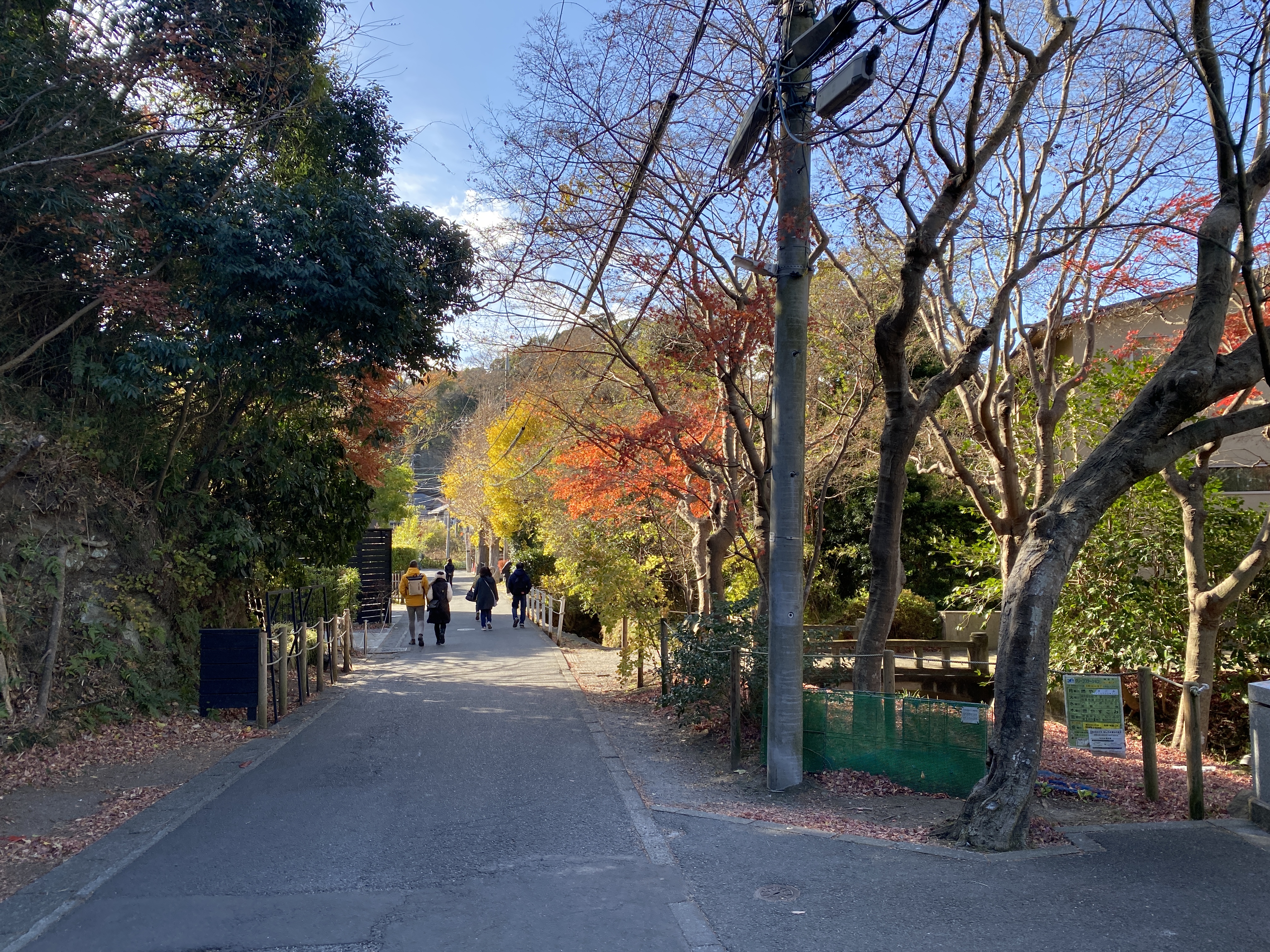 鎌倉日和【明月院への道】