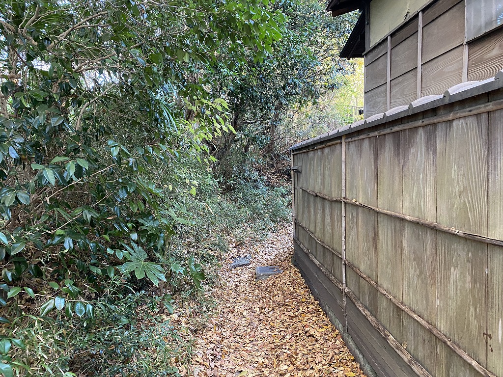 鎌倉日和【北鎌倉の小さい秋を歩く】