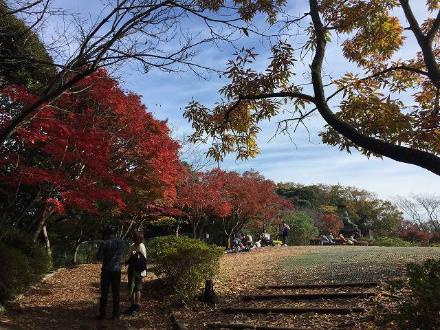 鎌倉日和のブログ 【源氏山公園】