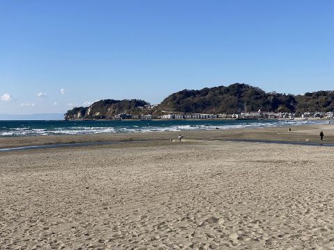 【鎌倉日和のおすすめ物件メモ】海のそばで暮らす
