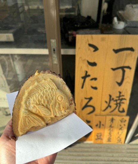 こたろう.jpg