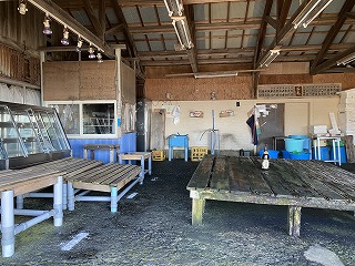 IMG_3717.jpg